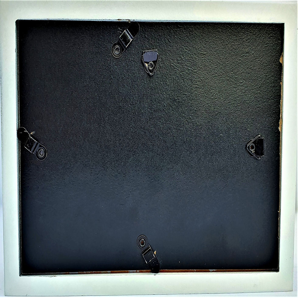 Thumbnail: Framed Glass Image Of Toucan Bird. For Home Beautifying.