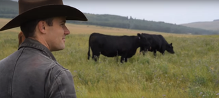 The 7 'What if?' Questions Every Rancher Should Ask