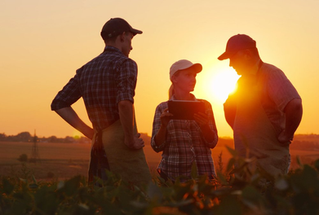 Multiple choice(s) for an ag education