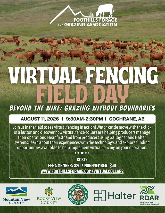 Virtual Fencing Day  poster.jpg