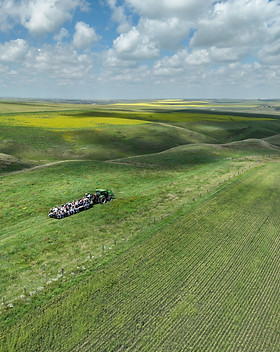 DJI_20250729132321_0003_V.JPG