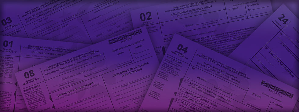 ENCABEZADO WEB HEADER.jpg