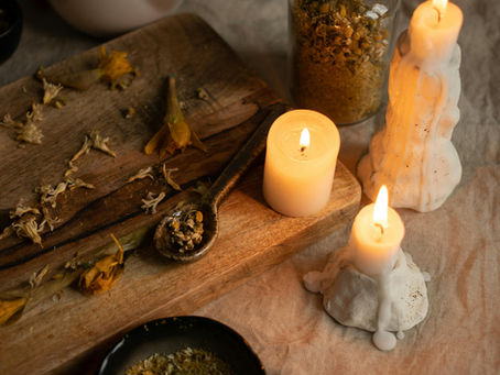 🐾 Digestion, stress & poils ternes : ces petits bobos que la naturopathie peut aider à adoucir (sans incantation magique)