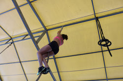 IMG_1308