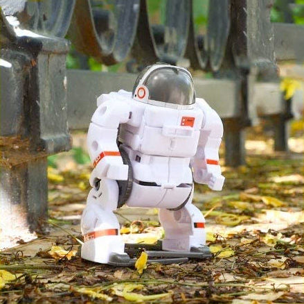 Thumbnail: 6 in 1 Space Robots