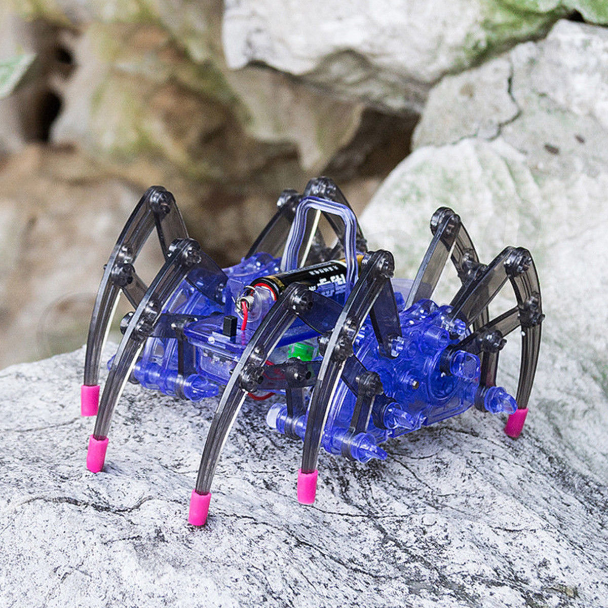 spider robot science kit