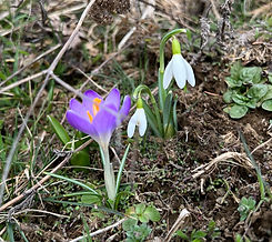 IMG_1077_edited.jpg
