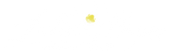logo 1.png