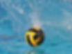 2157236.jpg