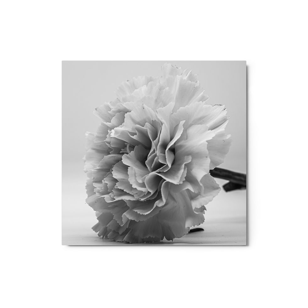 Thumbnail: Carnation