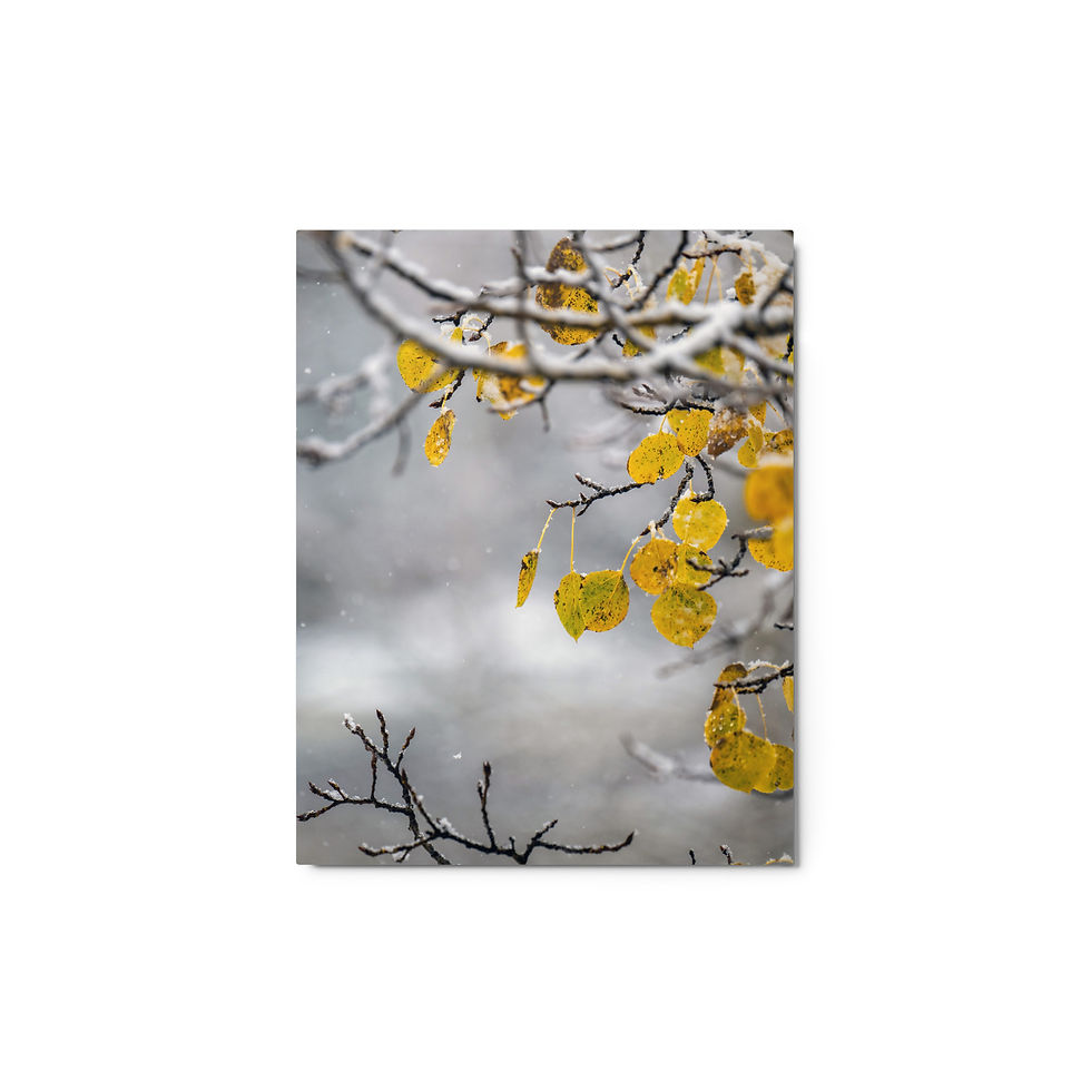 Thumbnail: Aspen