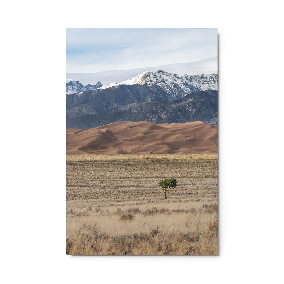 Thumbnail: Dunes