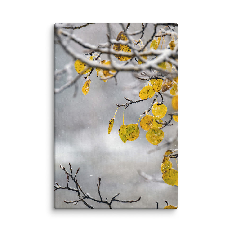Thumbnail: Aspen