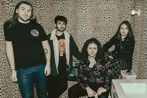 king falcon band promo photo