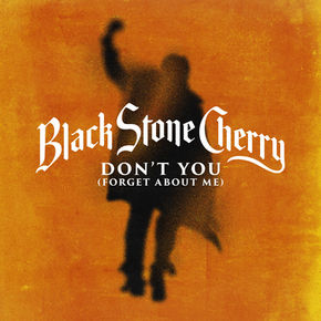 black stone cherry don't you forget about me single cover