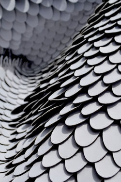 RCA Research Project