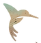 yonek copy_edited.png