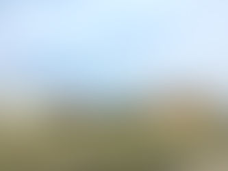 2020年4月本町公園の管理運営を始めます!