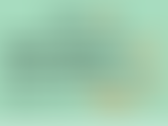 IN THE LOOP 台風19号に伴う各イベントの開催について