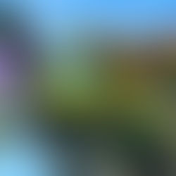 Tartarugas Ninja ganhará novo reboot em live-action