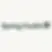 spring.webp