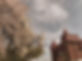KakaoTalk_20190430_200226025_edited_edited_edited.jpg