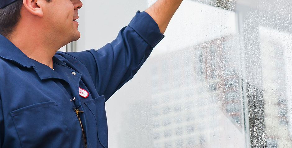 Window Cleaner