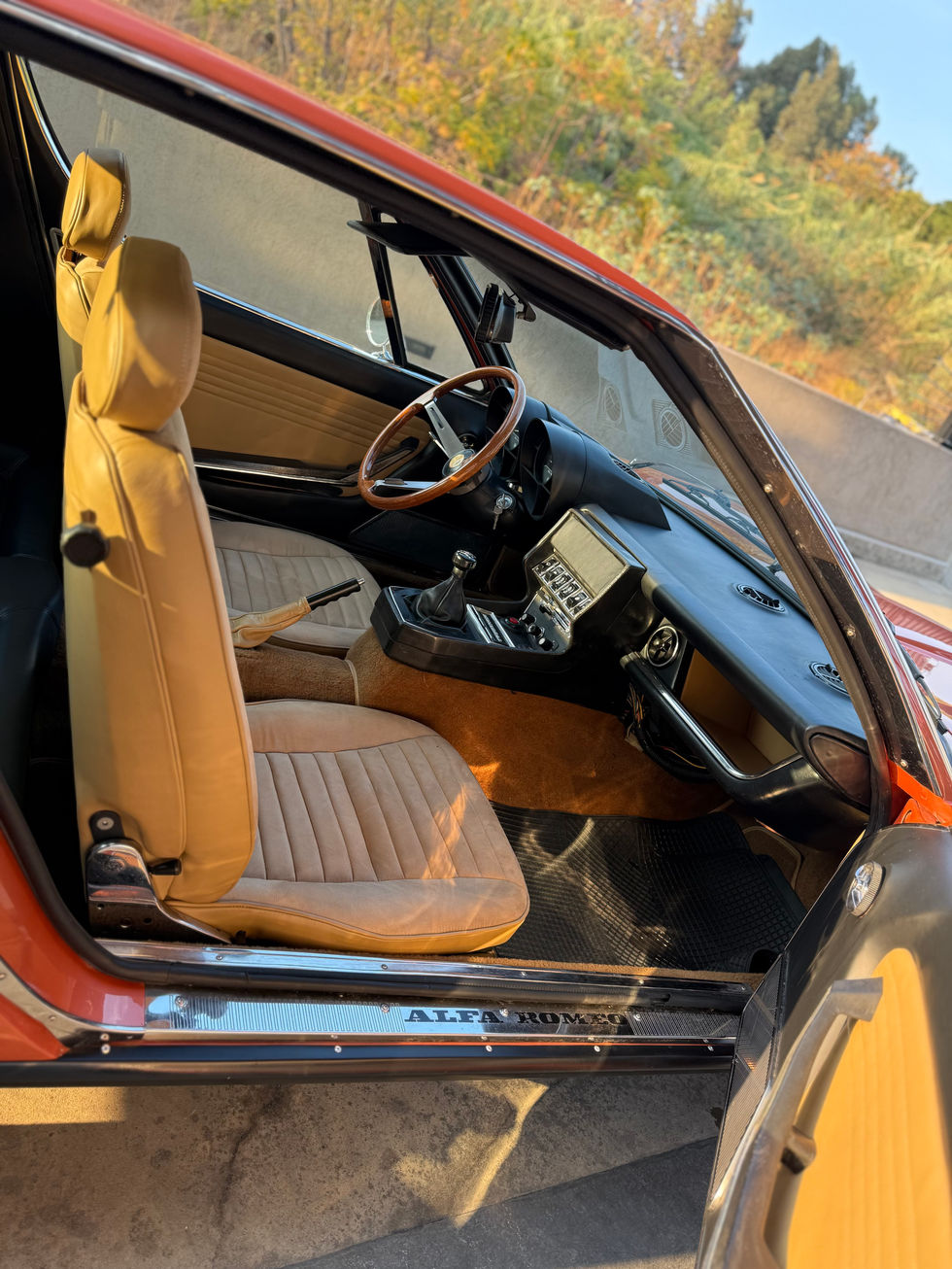 Alfa Montreal Orange - Art 7.jpeg