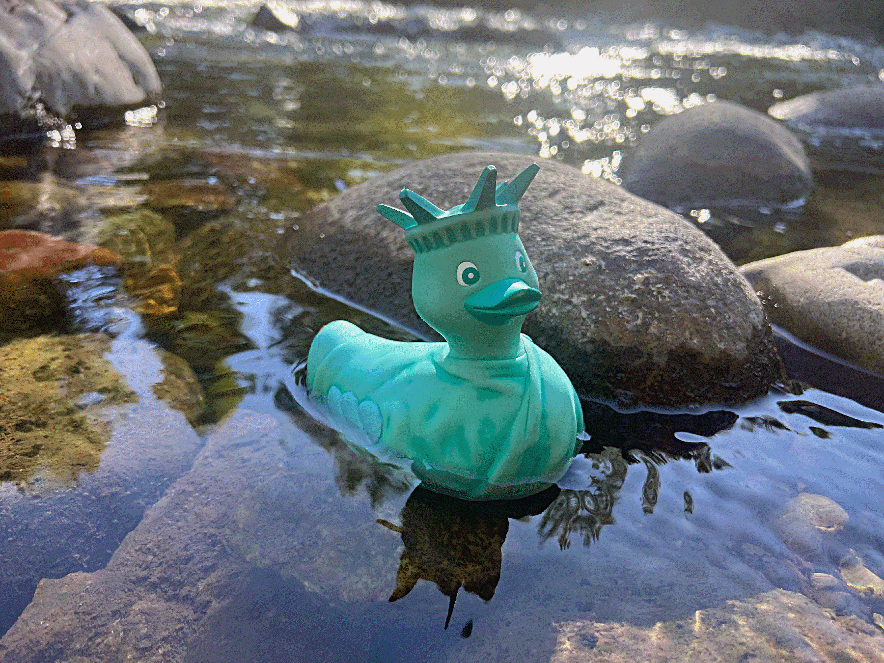 IMG_1581_in river_2.gif