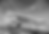 Liman Cephesi