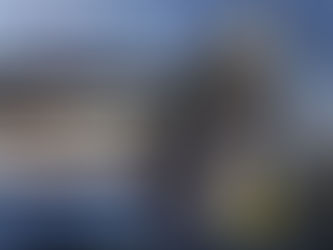 Donutal Review: Saving Earth One Alien Interview at a Time