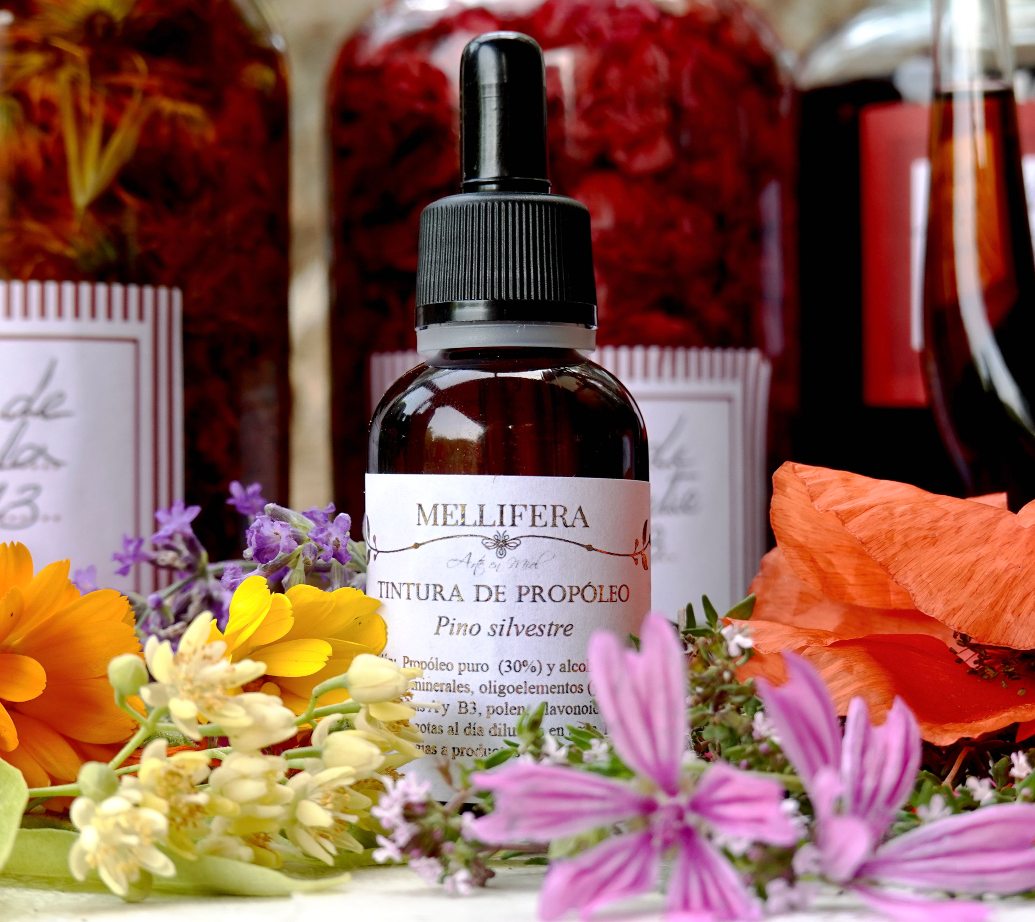 TINTURA DE PROPÓLEO