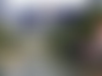 FanFest a Huge Success