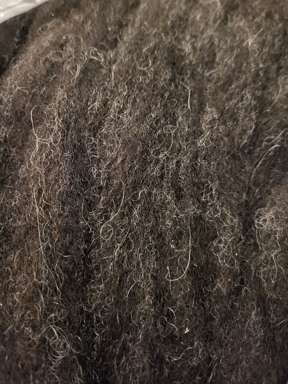 Thumbnail: Wool Finnsheep Roving 4oz for Spinning