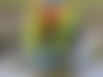 Unseen Dangers in Our Waters: The Battle Against Water Contamination in New Zealand