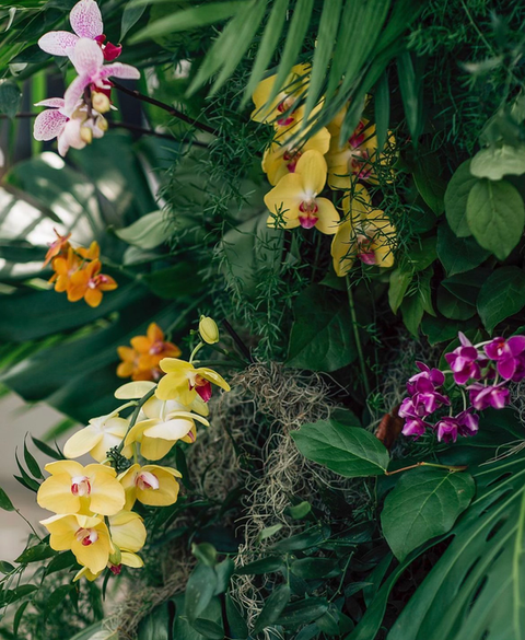 YORKVILLE FLEUR DE VILLE X PROMISE SUPPLY