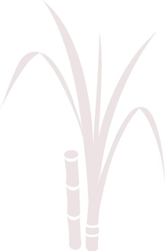 Dumspirit_CharteGraphique-52_edited_edit