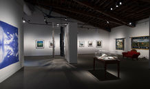 Redesigning Paradise, Main Gallery, 2023