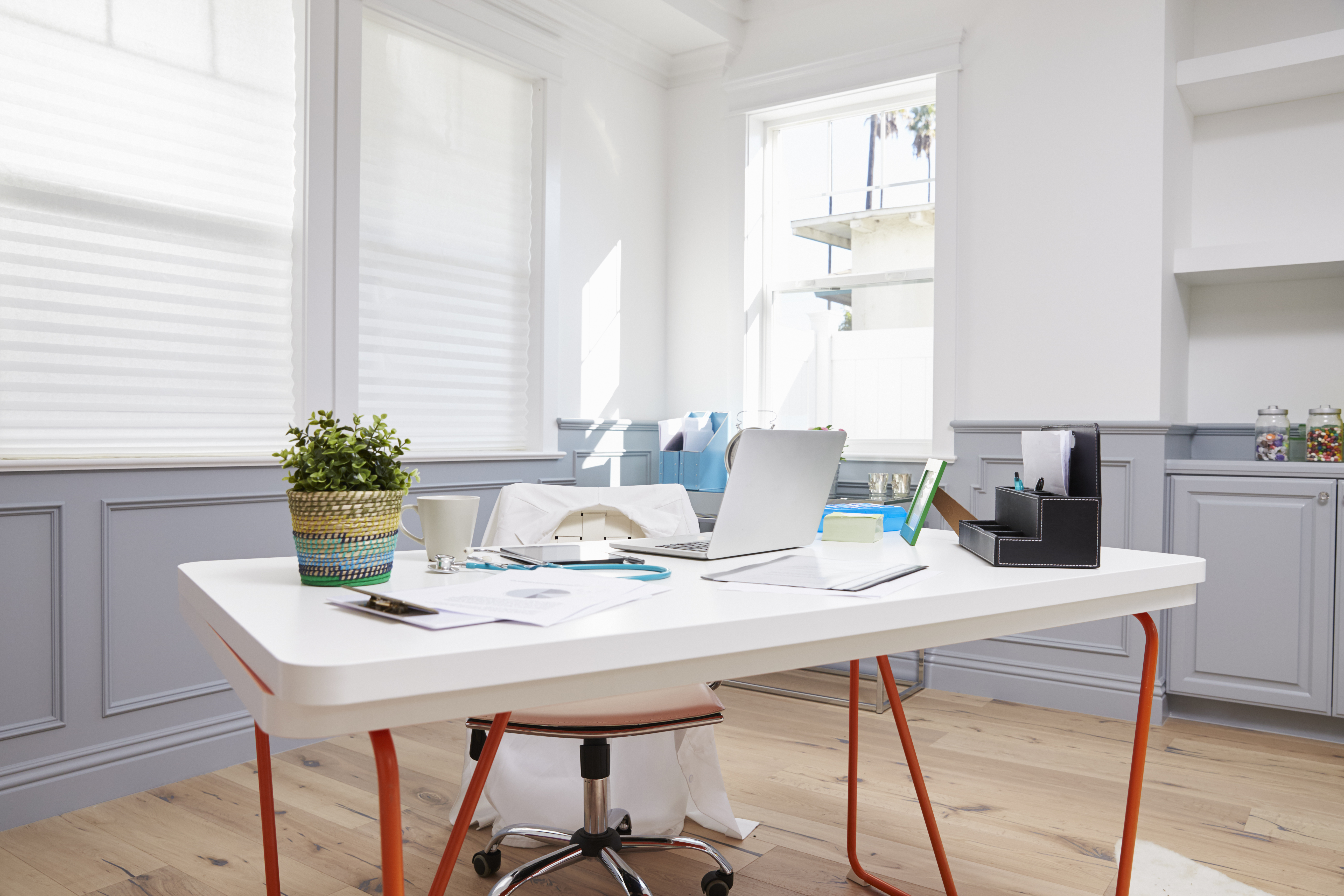 Veterinary business: how to start and run an efficient practice