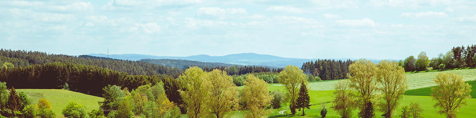 Das Bild zeigt eine sanfte hügelige Landschaft im Sommer. Im Vordergrund sind hellgrüne Felder zu sehen. Der Rand der Felder ist von Baumreihen aus Laub- und Nadelbäumen gesäumt. Im Hintergund sind dicht bewaltete Hügel zu sehen. Diese werden immer blasser und blaulicher. Der Himmel auf dem Bild ist hellblau und zeigt vereinzelt weiße Wolken.