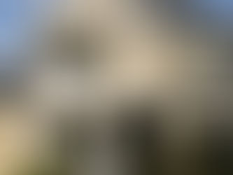 How much does it cost to paint a house in Australia?