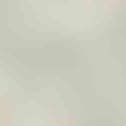 York Wallcoverings Moreno Slate Woodland Wallpaper