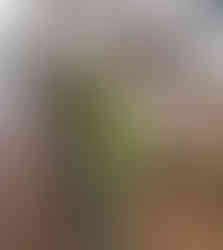 Christmasy Table Centerpiece 