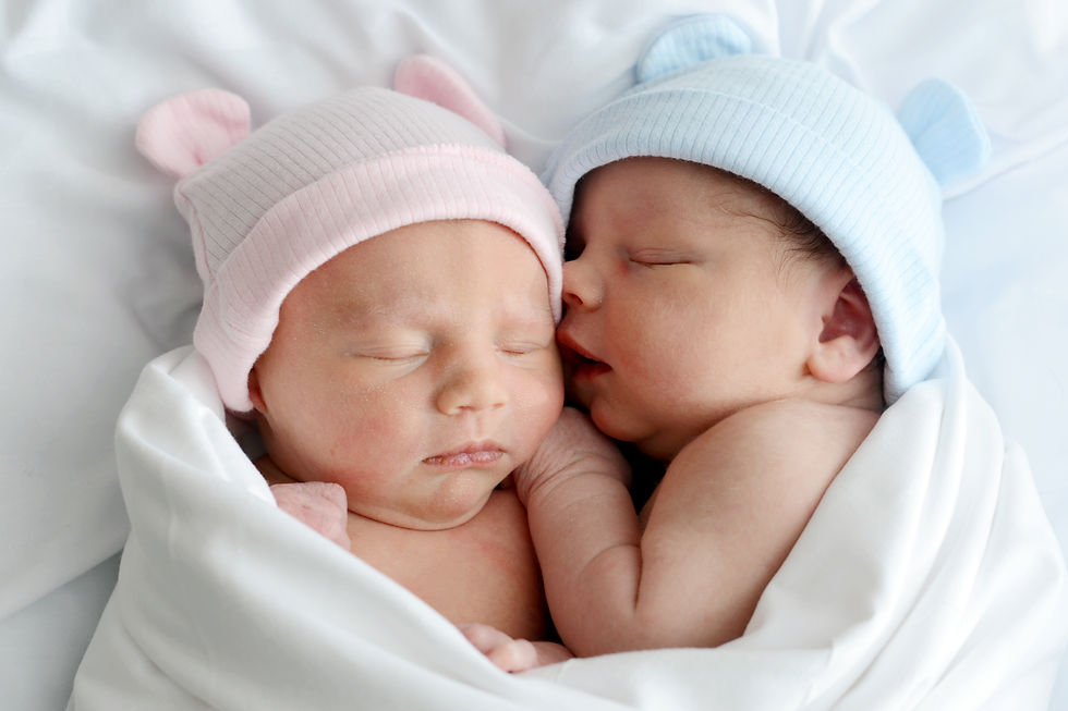 The Twins