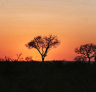 pierre-chatel-innocenti-Lk-nu_hX6ms-unsplash 2.png