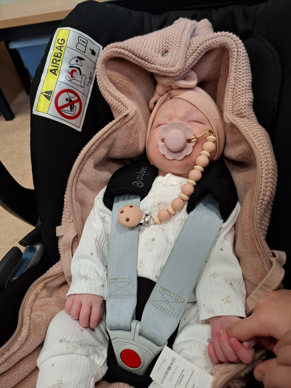 K2 Milan wordt grote broer! Welkom Olivia!! Dikke proficiat aan de gelukkige ouders!😍❤️