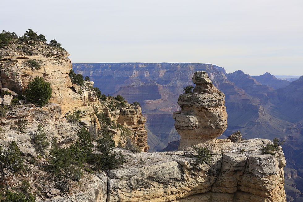 Duck Rock