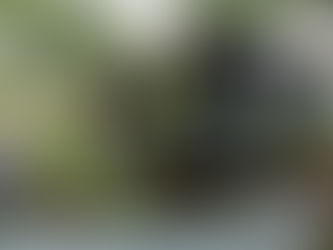 The Tiny House: Where Cool Meets Cozy in the World of Affordable Living