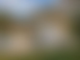 Frank Lloyd Wright: Pioneering Affordable Housing through Innovative Design