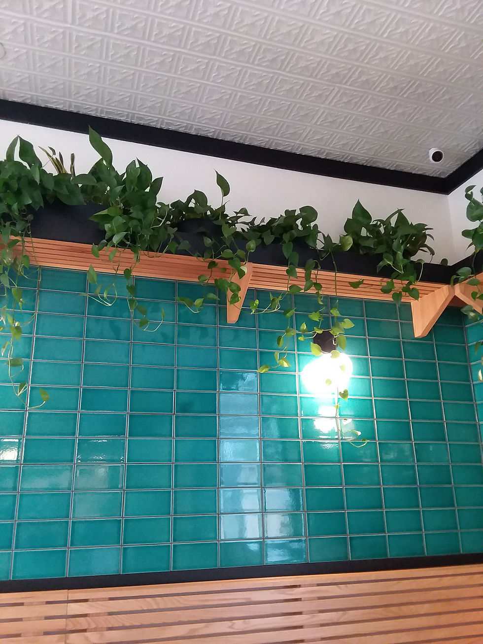 plant-lady-restaurant-plant-install